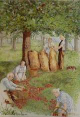 Bernerrose_50x70