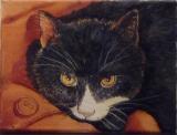 Katze_01