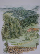 TF_IMGP0157