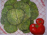 TF_IMGP0911