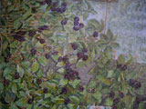 TF_IMGP0922