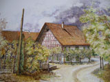 TF_IMGP0929