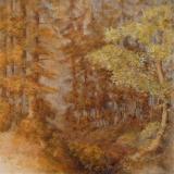 Wald_Baum_rechts